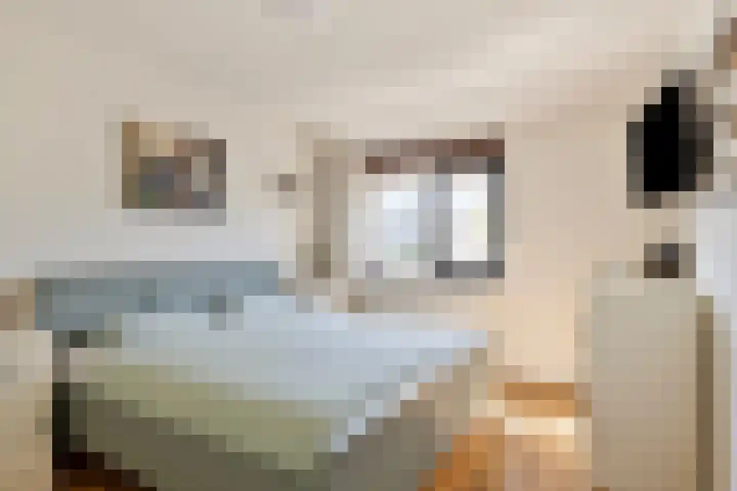 Jacob Clementstraat 10 Budel-Schoot thumbnail 17