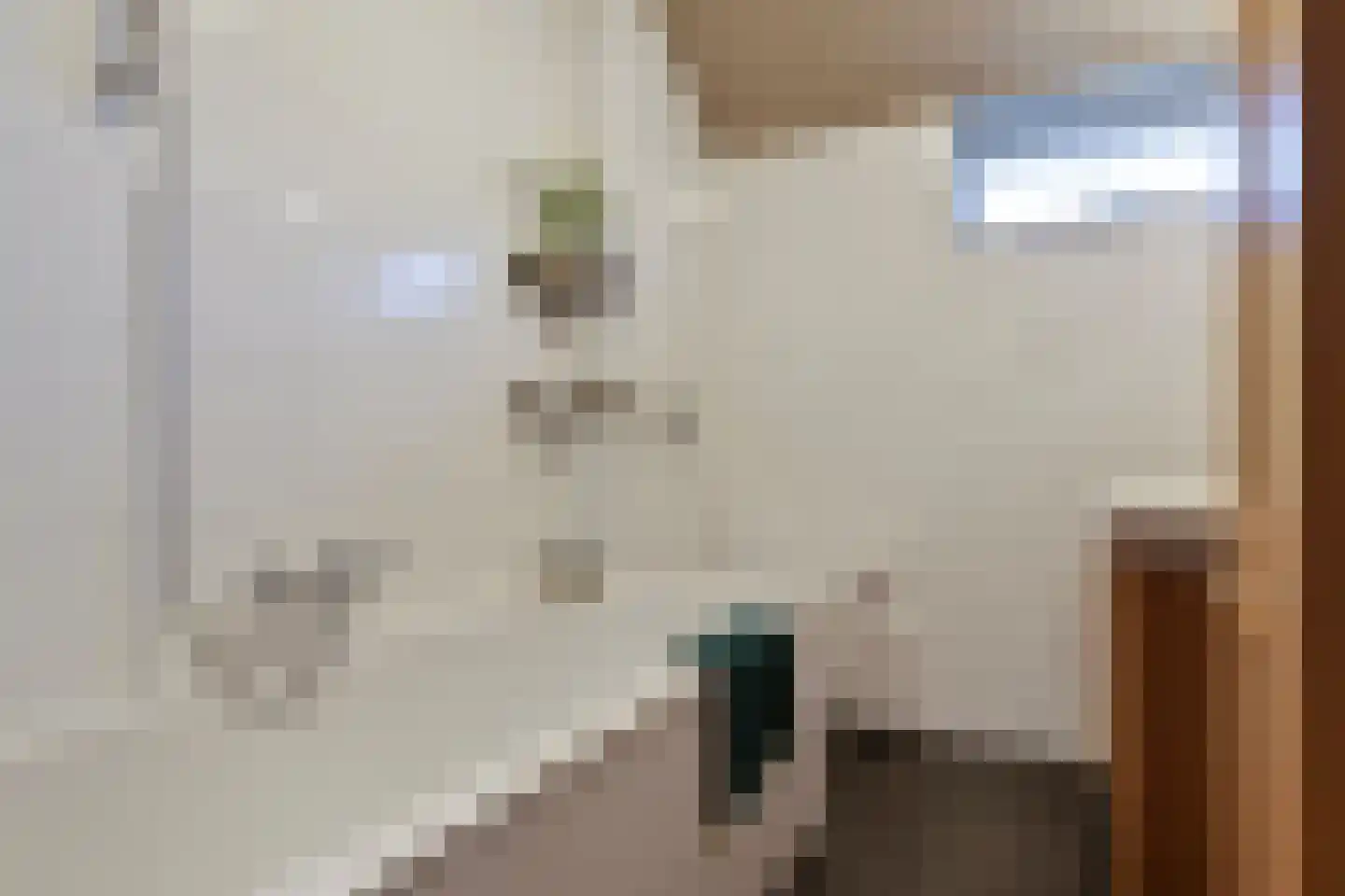 Jacob Clementstraat 10 Budel-Schoot thumbnail 22