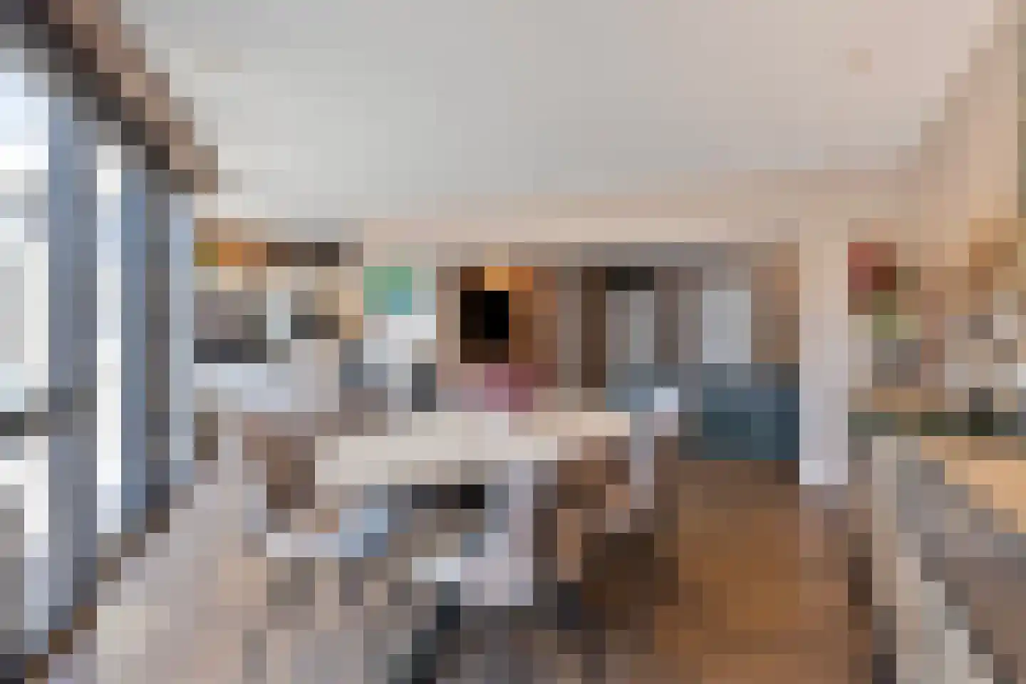 Jacob Clementstraat 10 Budel-Schoot thumbnail 6