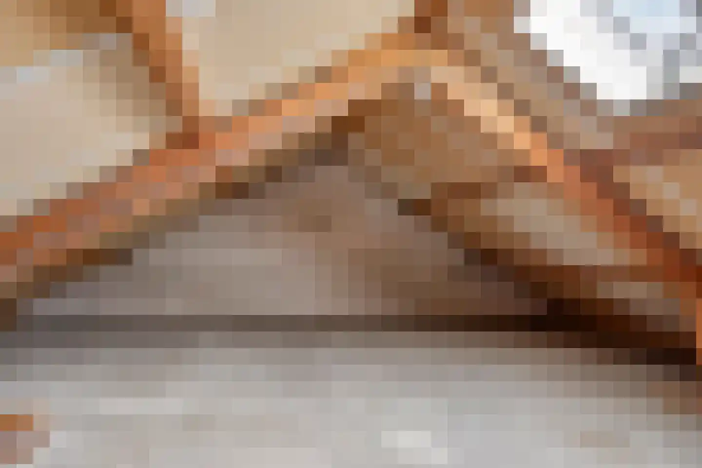 Jacob Clementstraat 22 Budel-Schoot thumbnail 19