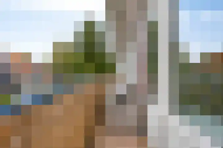 Jacob Cnodestraat 19 's-Hertogenbosch thumbnail 10