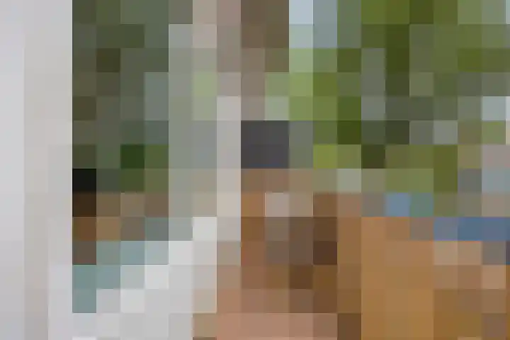 Jacob Cnodestraat 19 's-Hertogenbosch thumbnail 11