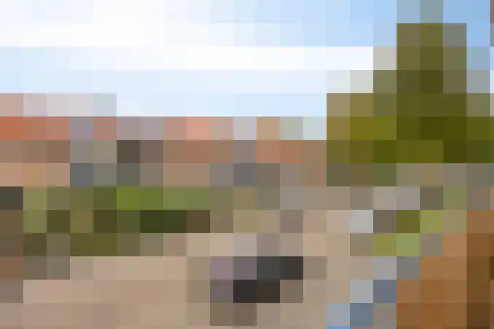 Jacob Cnodestraat 19 's-Hertogenbosch thumbnail 12