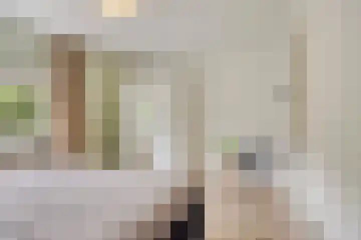 Jacob Cnodestraat 19 's-Hertogenbosch thumbnail 19
