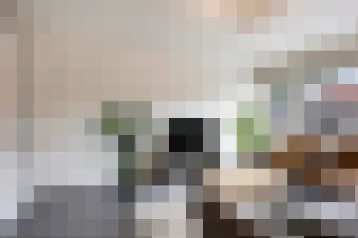 Jacob Cnodestraat 19 's-Hertogenbosch thumbnail 4