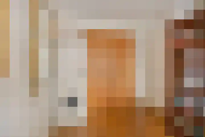 Jacob Cnodestraat 27 's-Hertogenbosch thumbnail 12