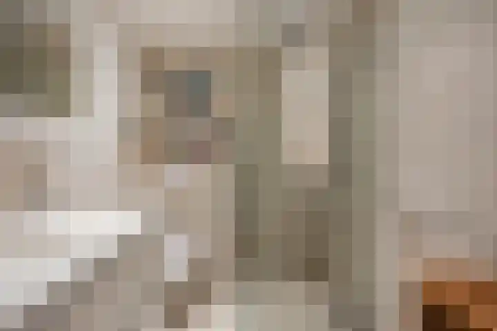 Jacob Cnodestraat 27 's-Hertogenbosch thumbnail 15