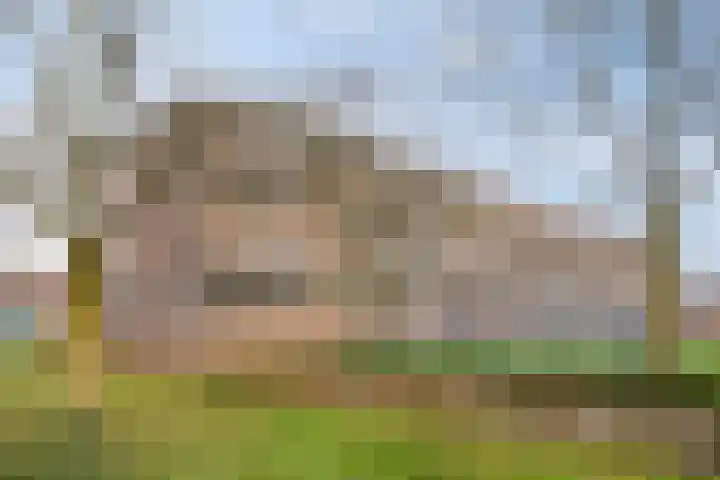 Jacob Cnodestraat 27 's-Hertogenbosch thumbnail 18