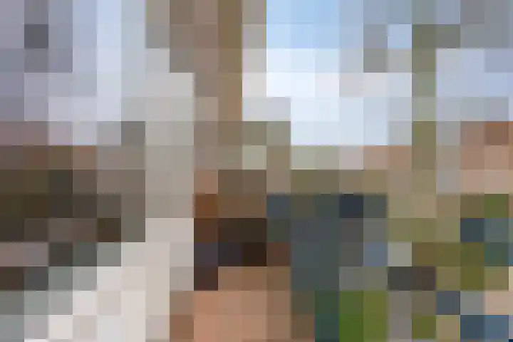Jacob Cnodestraat 27 's-Hertogenbosch thumbnail 4