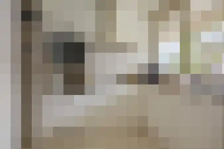 Jacob Cnodestraat 27 's-Hertogenbosch thumbnail 6
