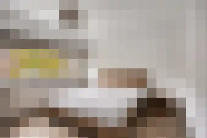Jacob Cnodestraat 37 's-Hertogenbosch thumbnail 17