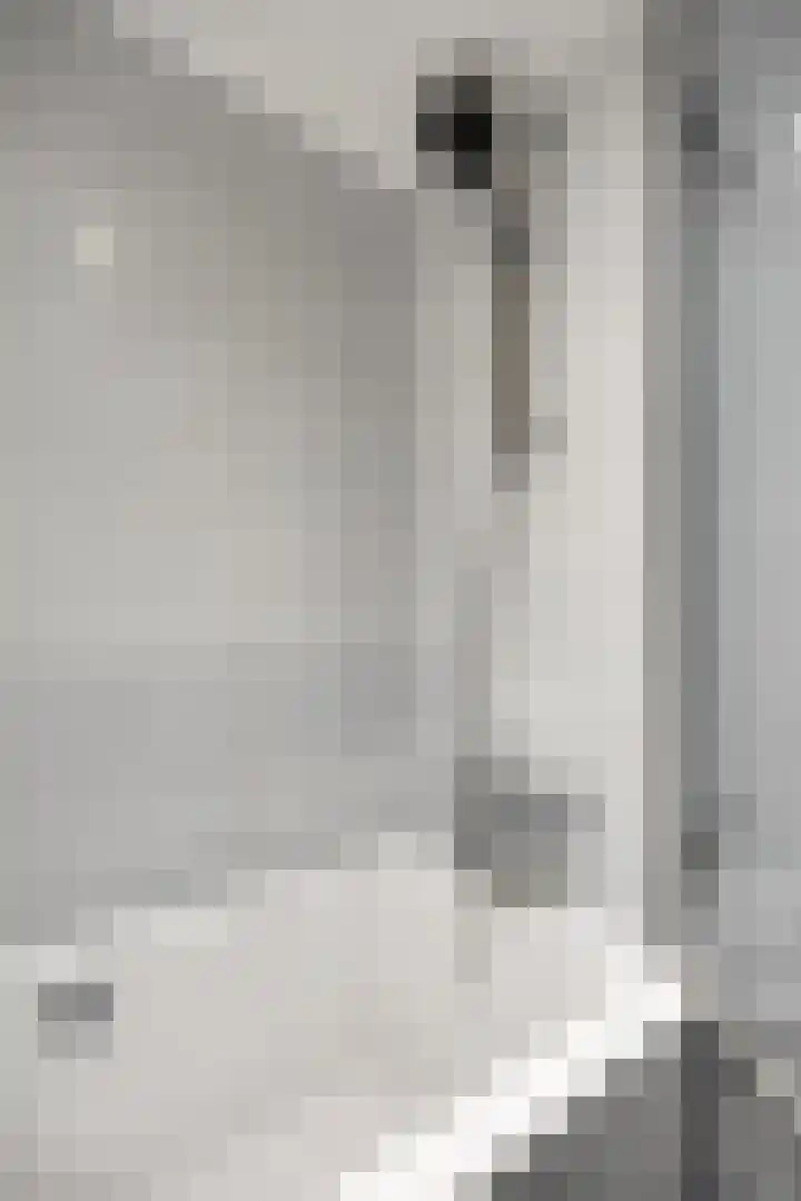 Jacob Cnodestraat 37 's-Hertogenbosch thumbnail 21