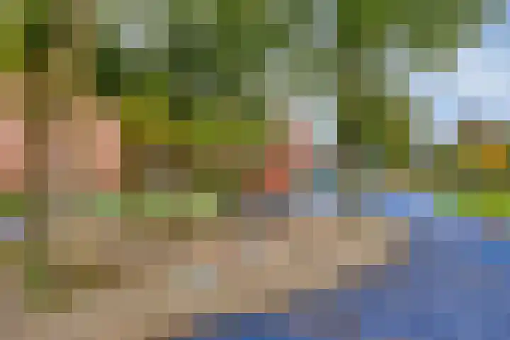 Jacob Cnodestraat 37 's-Hertogenbosch thumbnail 26