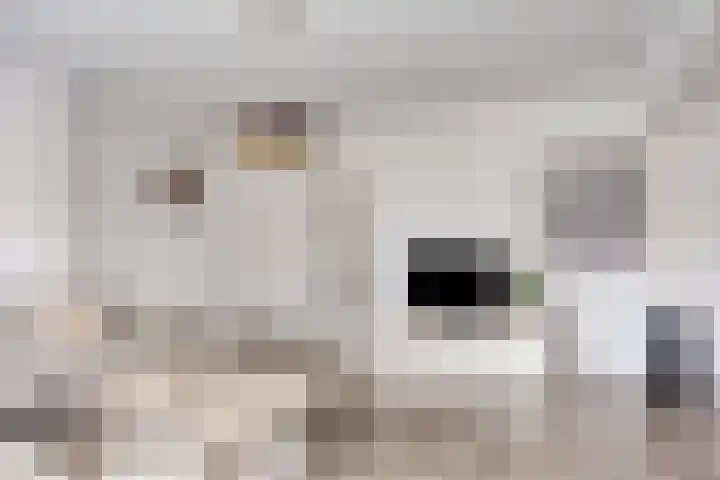 Jacob Cnodestraat 37 's-Hertogenbosch thumbnail 8
