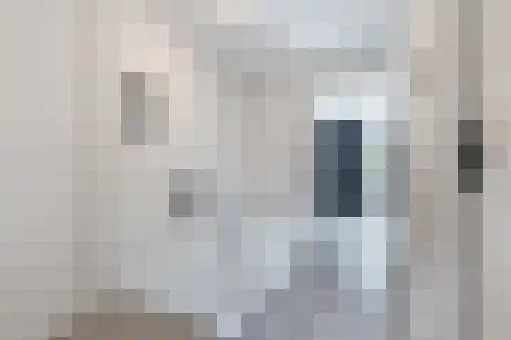 Jacob Cnodestraat 41 's-Hertogenbosch thumbnail 26