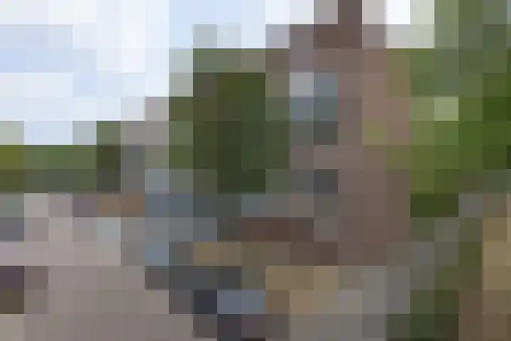 Jacob Cnodestraat 41 's-Hertogenbosch thumbnail 36