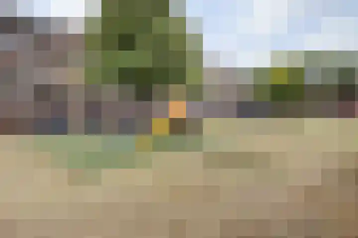 Jacob Cnodestraat 41 's-Hertogenbosch thumbnail 8