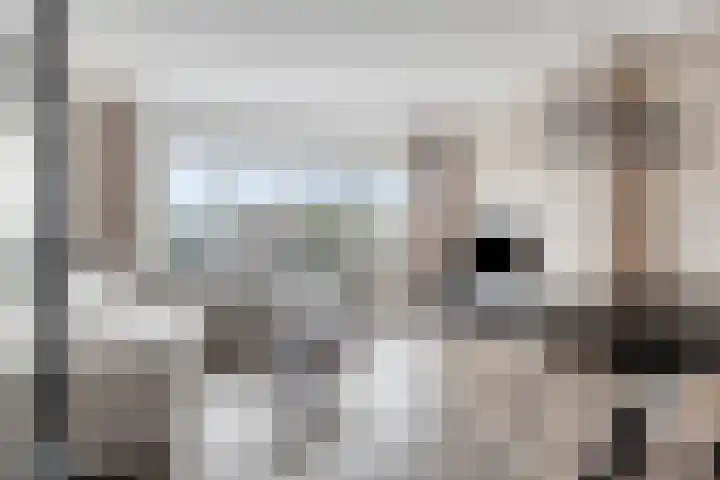 Jacob Cnodestraat 43 's-Hertogenbosch thumbnail 4