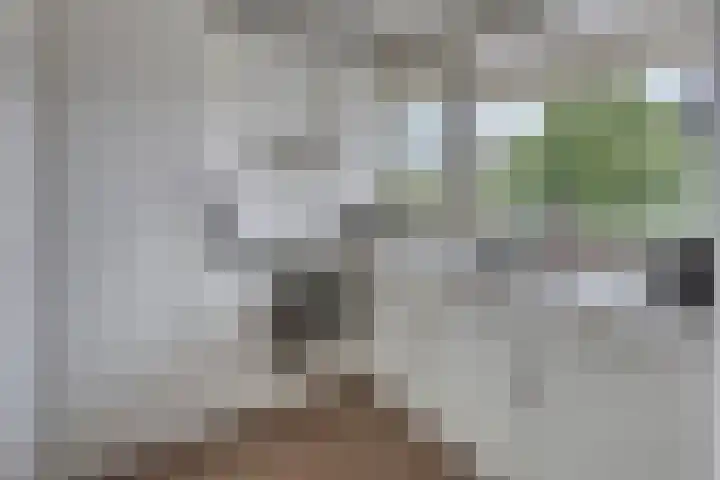 Jacob Cnodestraat 55 's-Hertogenbosch thumbnail 10