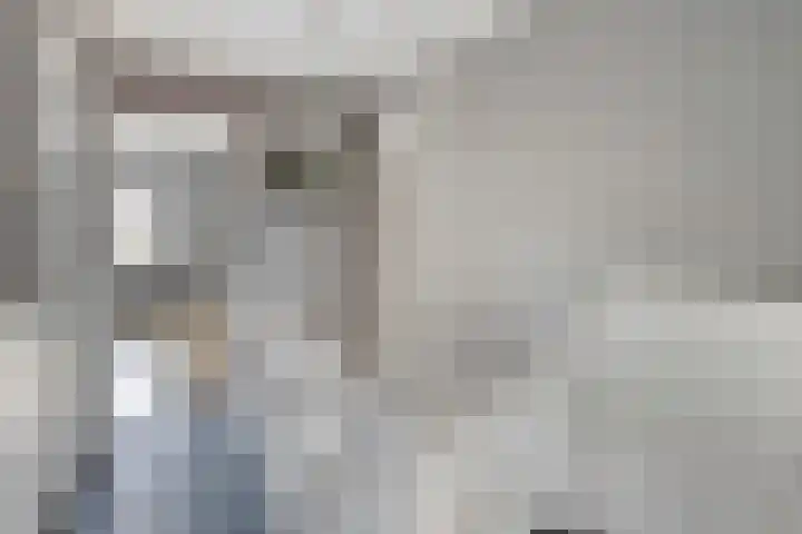 Jacob Cnodestraat 55 's-Hertogenbosch thumbnail 11