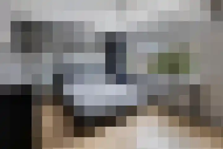Jacob Cnodestraat 55 's-Hertogenbosch thumbnail 12