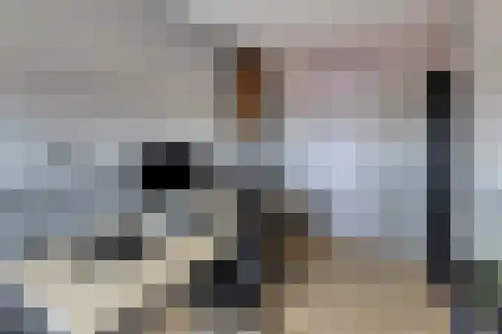 Jacob Cnodestraat 55 's-Hertogenbosch thumbnail 17
