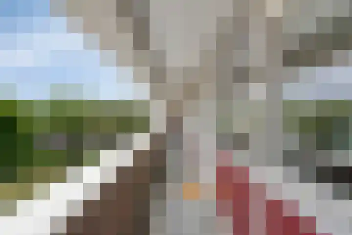 Jacob Cnodestraat 55 's-Hertogenbosch thumbnail 20