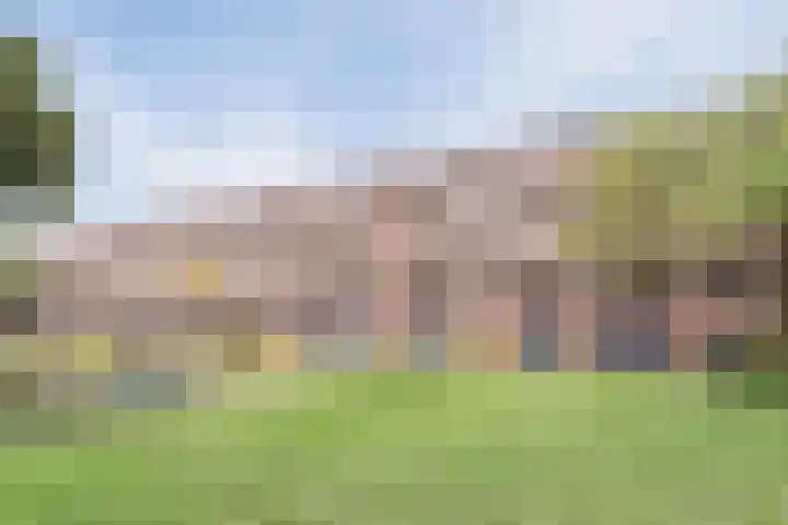 Jacob Cnodestraat 55 's-Hertogenbosch thumbnail 21