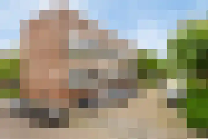 Jacob Cnodestraat 55 's-Hertogenbosch thumbnail 22