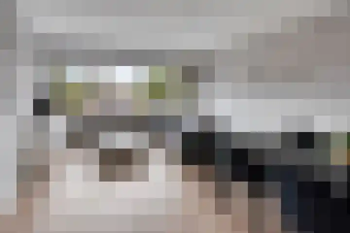 Jacob Cnodestraat 55 's-Hertogenbosch thumbnail 4