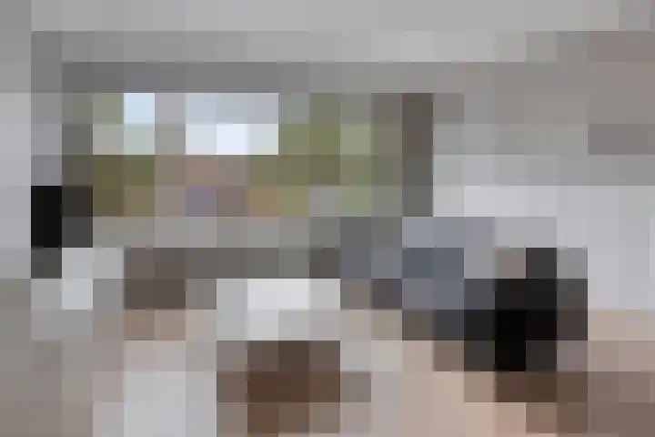 Jacob Cnodestraat 55 's-Hertogenbosch thumbnail 7