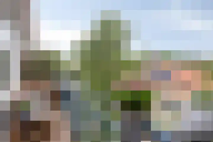 Jacob Cnodestraat 55 's-Hertogenbosch thumbnail 8