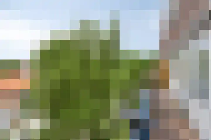 Jacob Cnodestraat 55 's-Hertogenbosch thumbnail 9