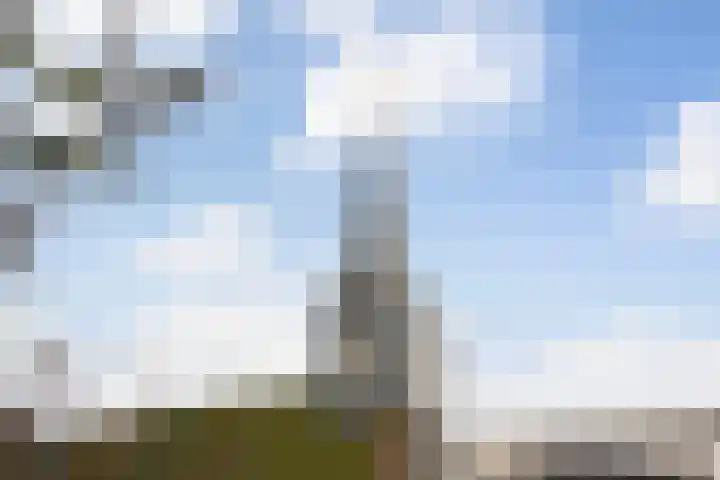 Jacob Corneliszstraat 1 Oostzaan thumbnail 20