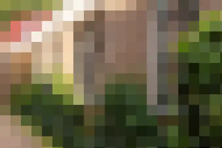 Jacob Corneliszstraat 1 Oostzaan thumbnail 6
