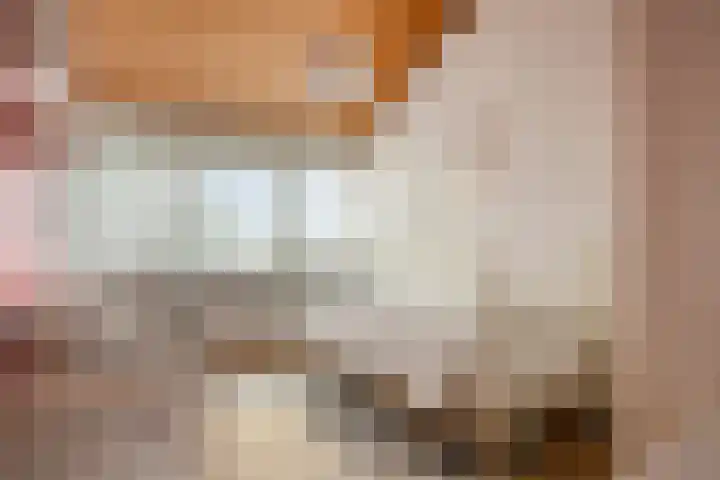 Jacob Corneliszstraat 15 Boxmeer thumbnail 22
