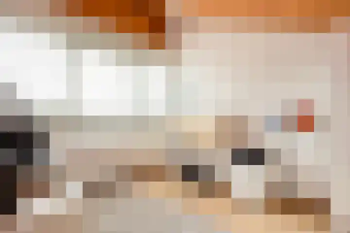 Jacob Corneliszstraat 15 Boxmeer thumbnail 23
