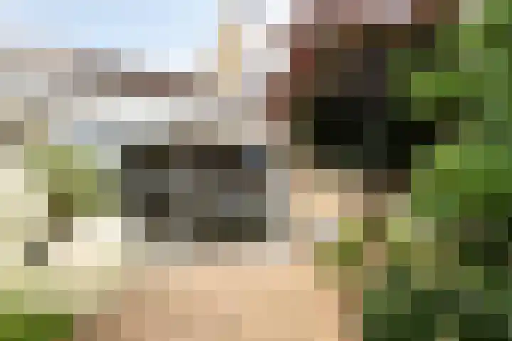 Jacob Corneliszstraat 15 Boxmeer thumbnail 32