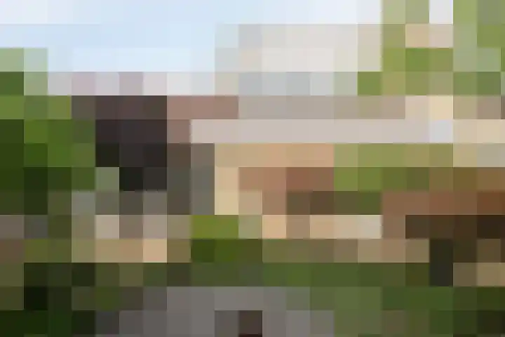 Jacob Corneliszstraat 15 Boxmeer thumbnail 33