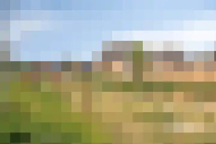 Jacob Corneliszstraat 15 Boxmeer thumbnail 37