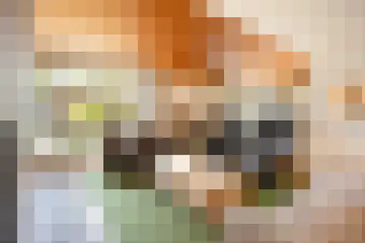 Jacob Corneliszstraat 15 Boxmeer thumbnail 7