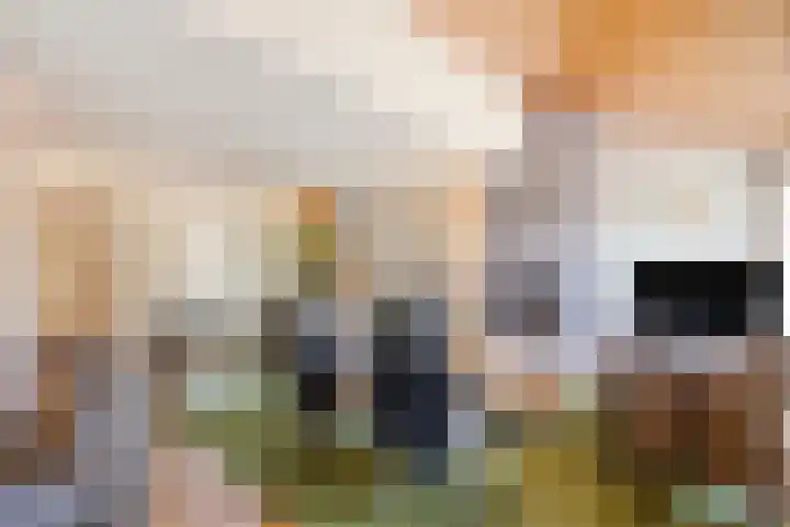 Jacob Corneliszstraat 15 Boxmeer thumbnail 9