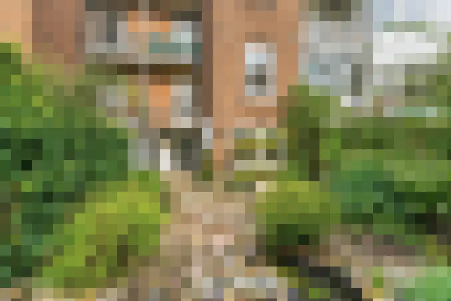 Jacob Cremerstraat 130 Arnhem thumbnail 42
