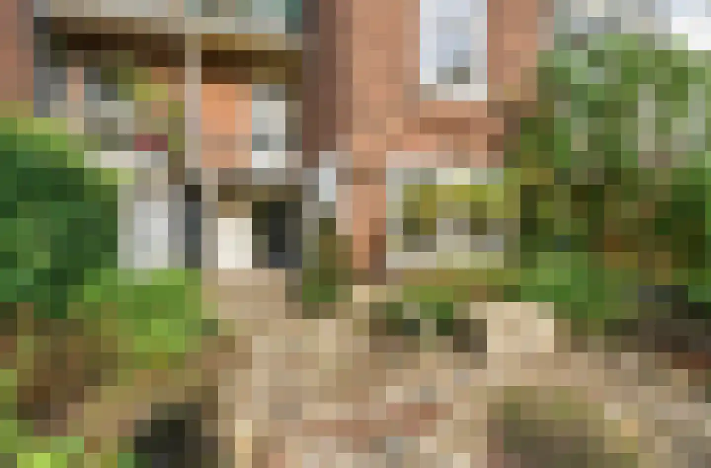 Jacob Cremerstraat 130 Arnhem thumbnail 43