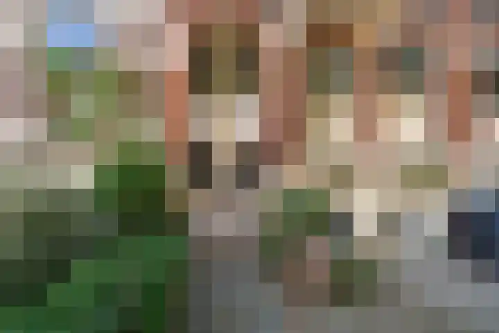 Jacob Cremerstraat 132 Arnhem thumbnail 35