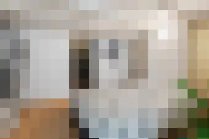 Jacob Cremerstraat 22 Arnhem thumbnail 18