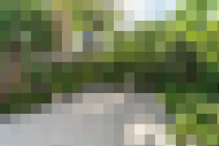 Jacob Cremerstraat 22 Arnhem thumbnail 32