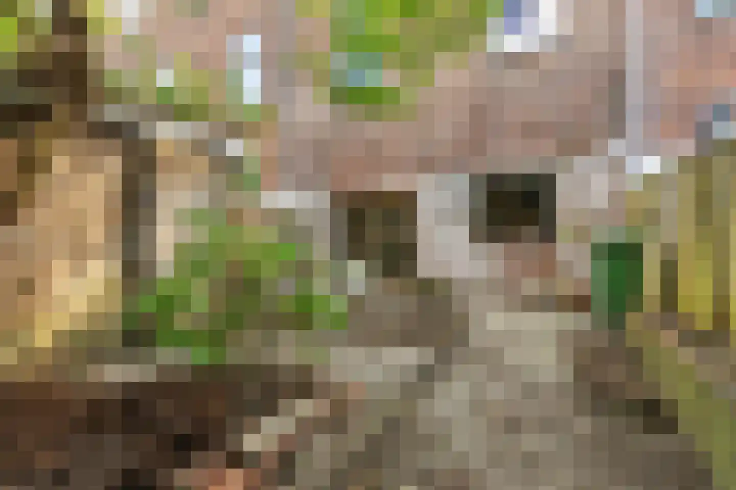 Jacob Cremerstraat 31 Arnhem thumbnail 5