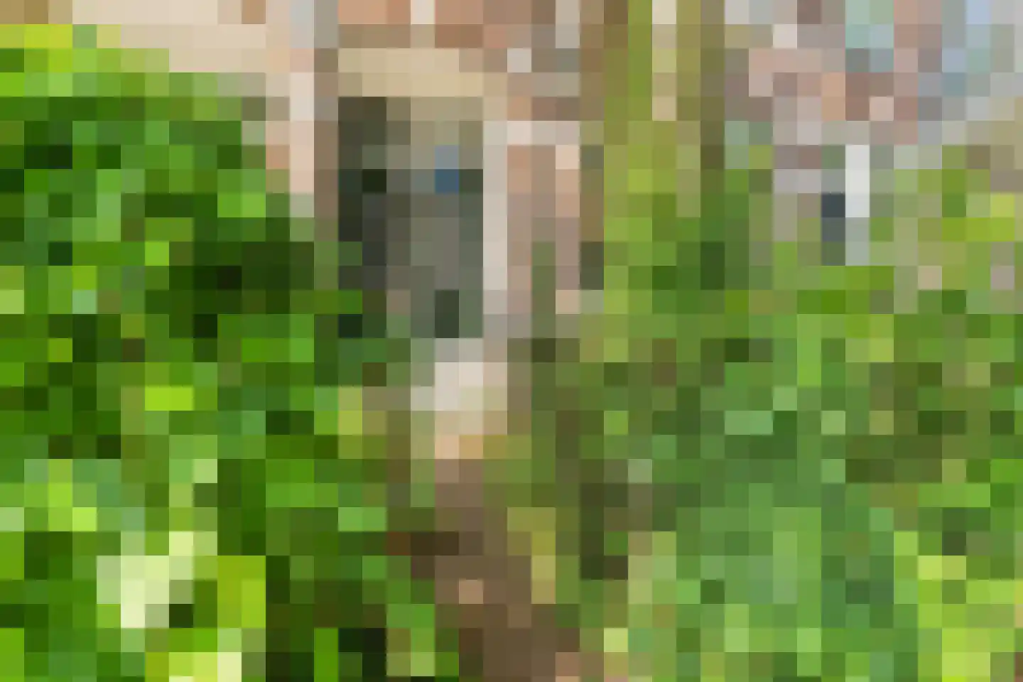 Jacob Cremerstraat 31 Arnhem thumbnail 6