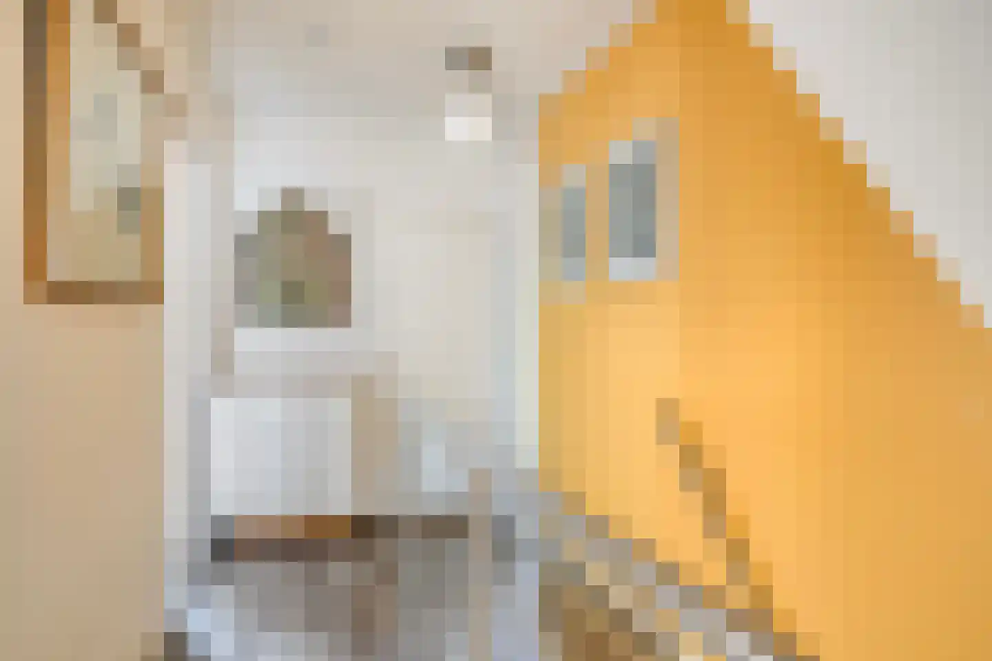Jacob Cremerstraat 32 Arnhem thumbnail 25